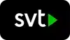 Live television channel 12 included in the TVStrong IPTV channel lineup